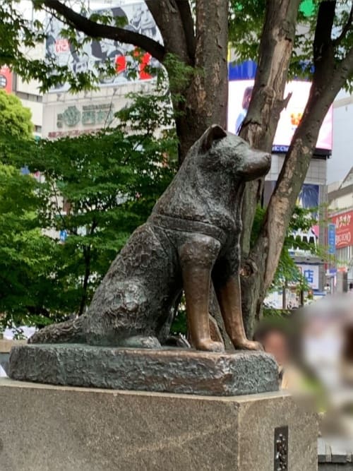 渋谷ハチ公の銅像